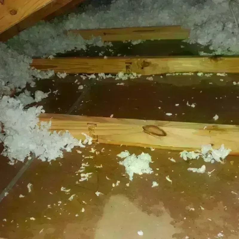 Attic Water Damage in Charleston, WV